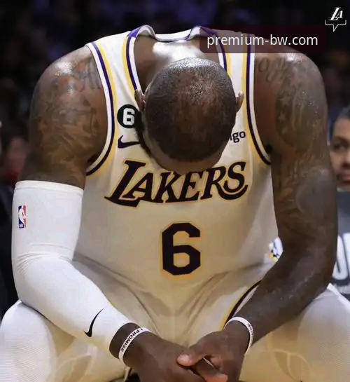 资深用户赵航的宝威体育v3.0.0观赛实战：解析湖人锁定季后赛背后的数据与趋势